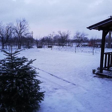 Casa De Vacanta Ayan Hărman Oda fotoğraf