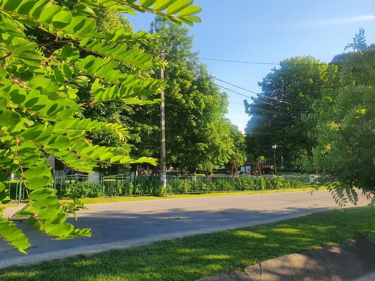 Casa De Vacanta Ayan Hărman Dış mekan fotoğraf