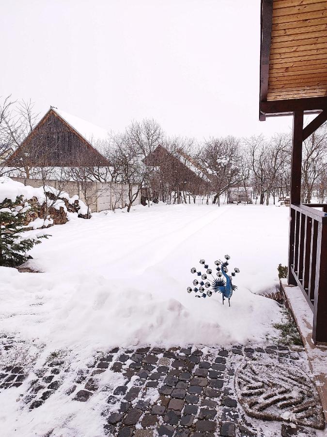 Casa De Vacanta Ayan Hărman Dış mekan fotoğraf